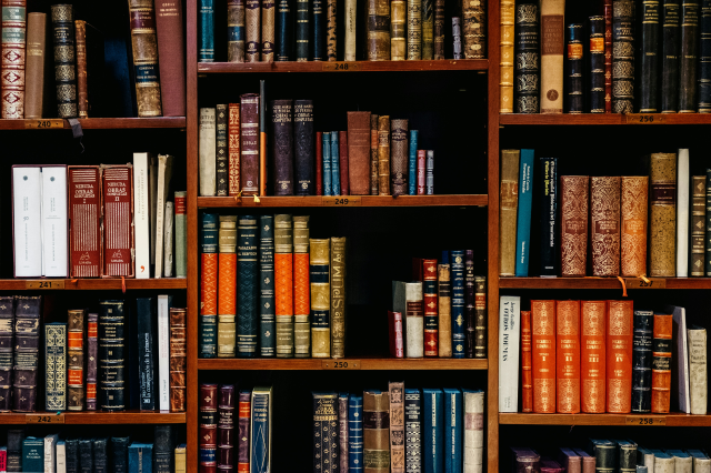ainaki-del-olmo-NIJuEQw0RKg-unsplash